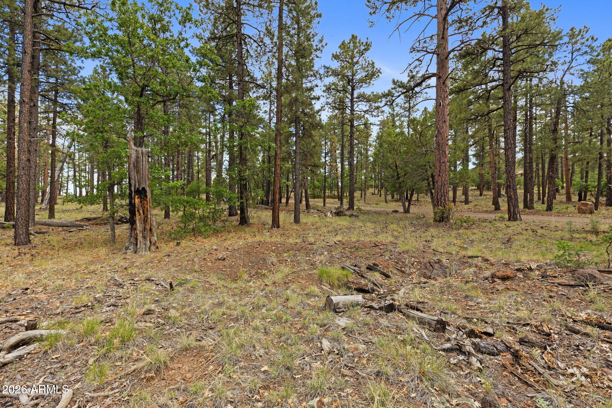 WILLIAMS PINE MEADOW ESTATES - Land
