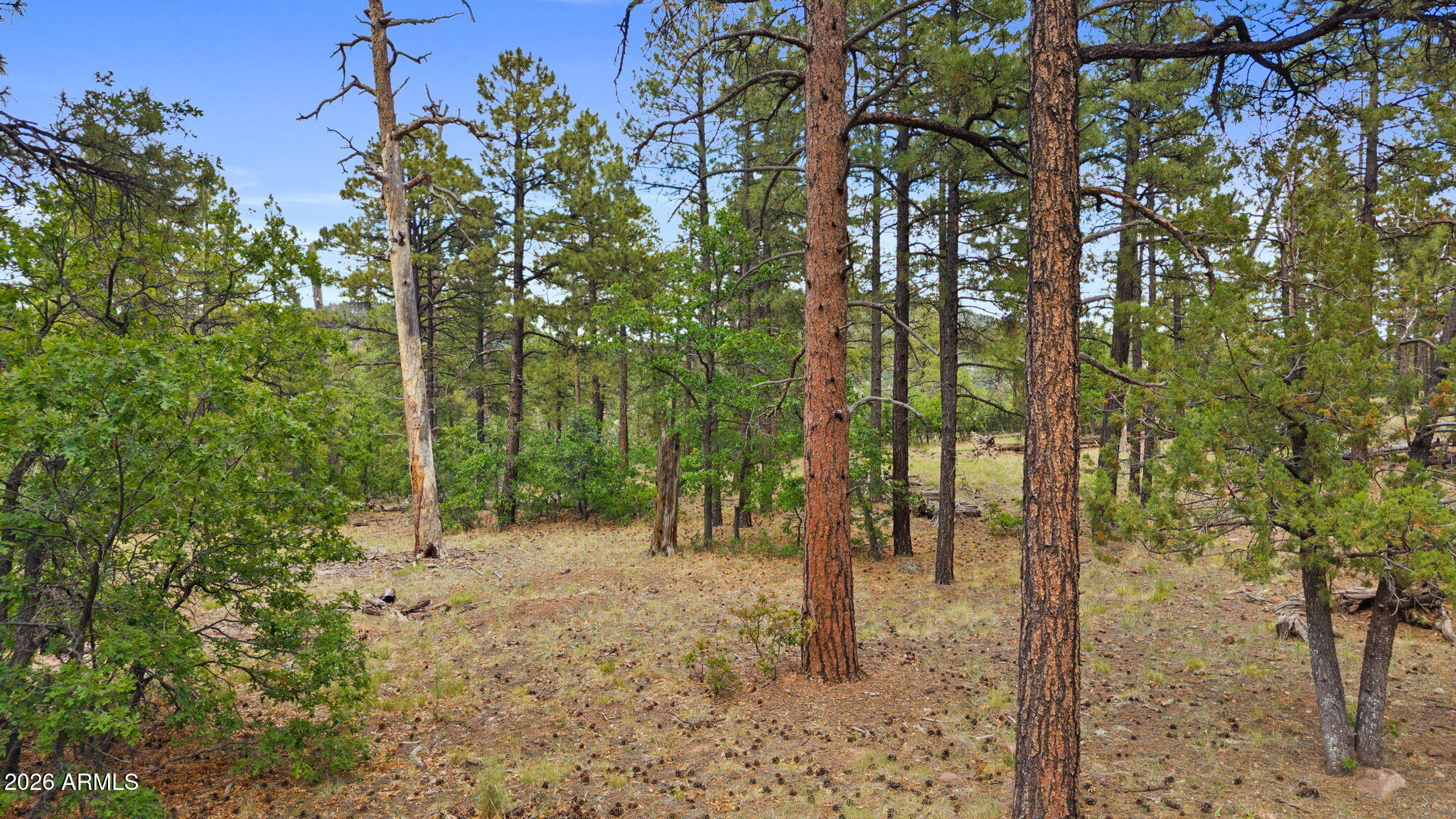 WILLIAMS PINE MEADOW ESTATES - Land