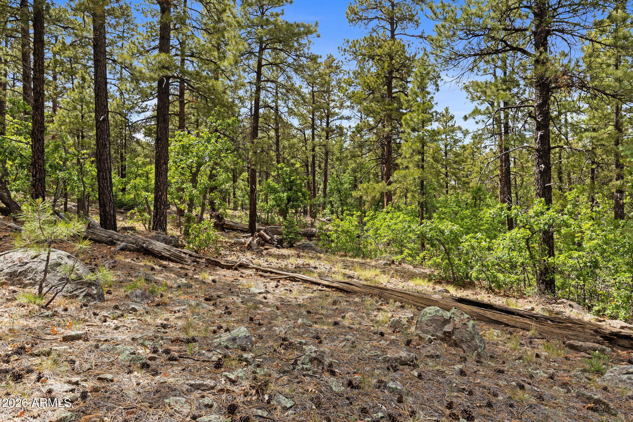 WILLIAMS PINE MEADOW ESTATES - Land