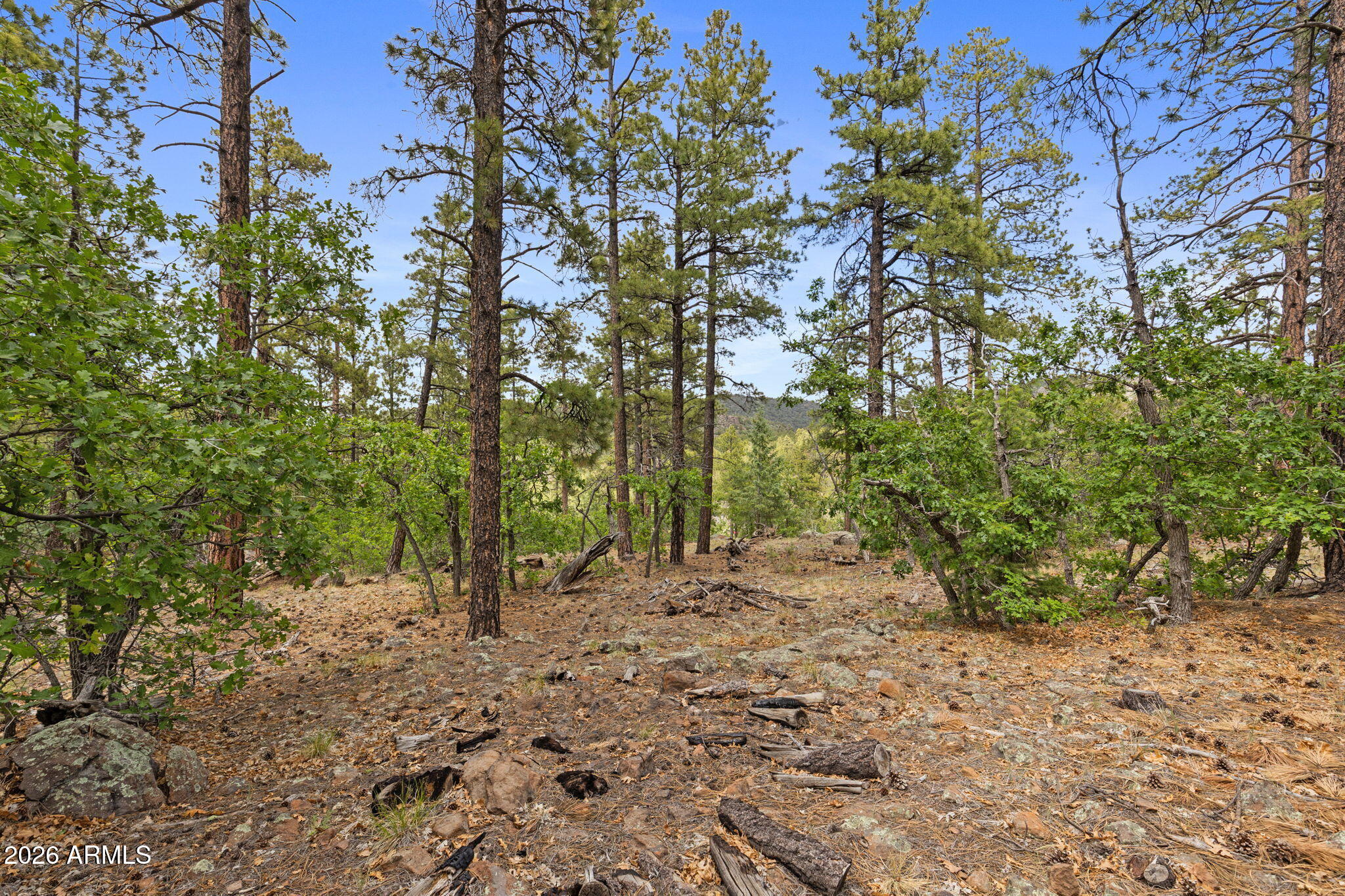 WILLIAMS PINE MEADOW ESTATES - Land