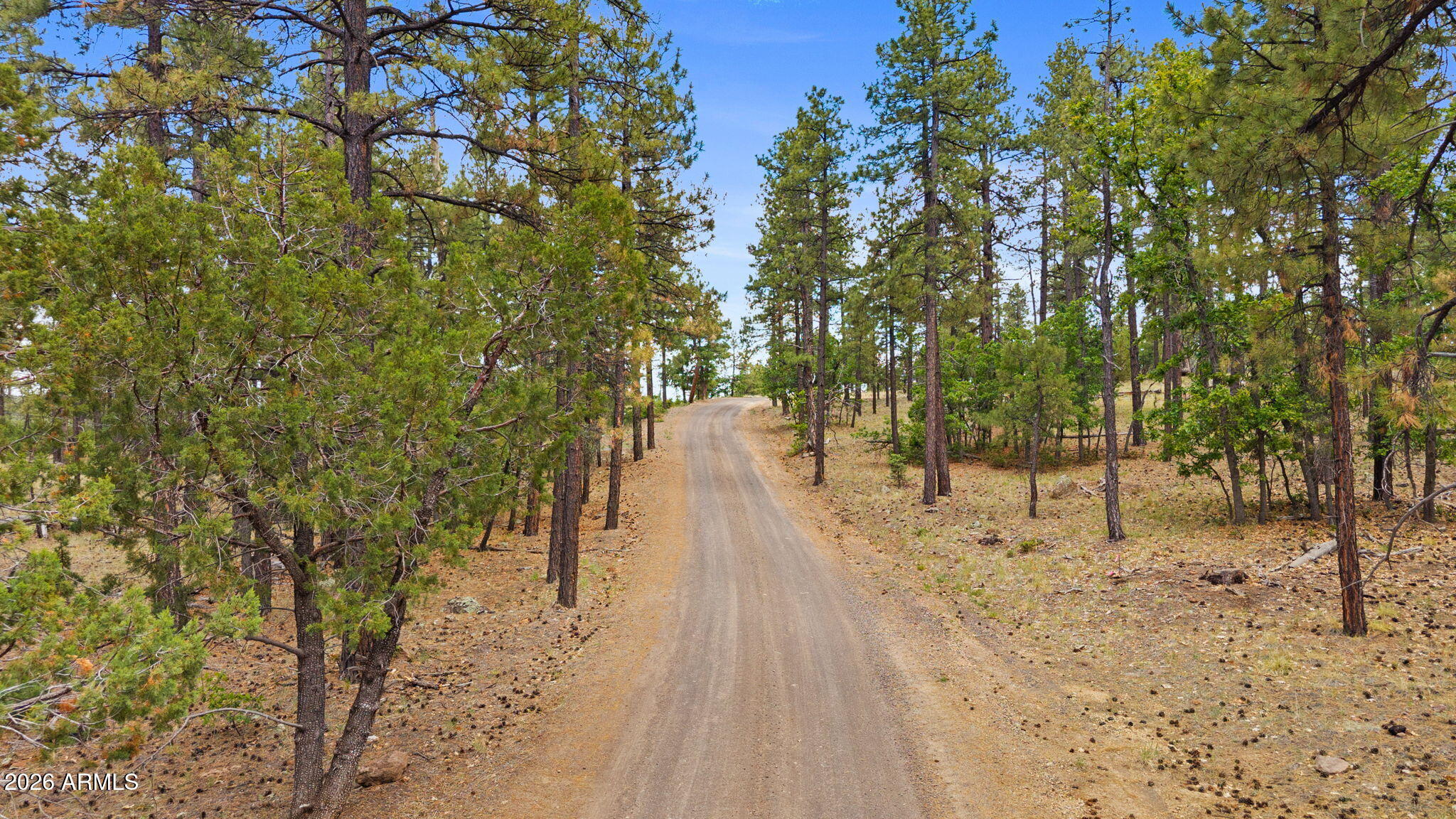 WILLIAMS PINE MEADOW ESTATES - Land
