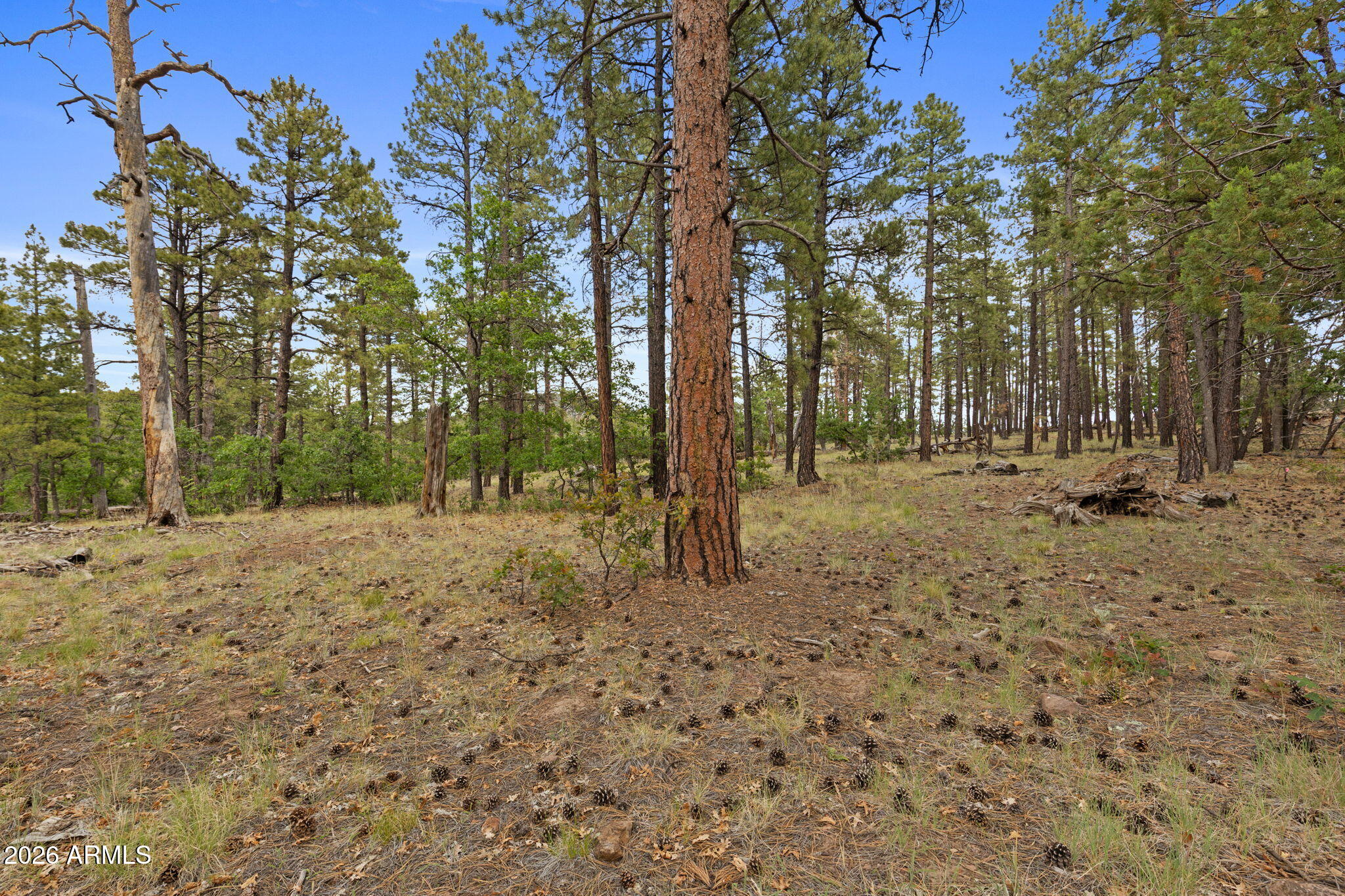 WILLIAMS PINE MEADOW ESTATES - Land