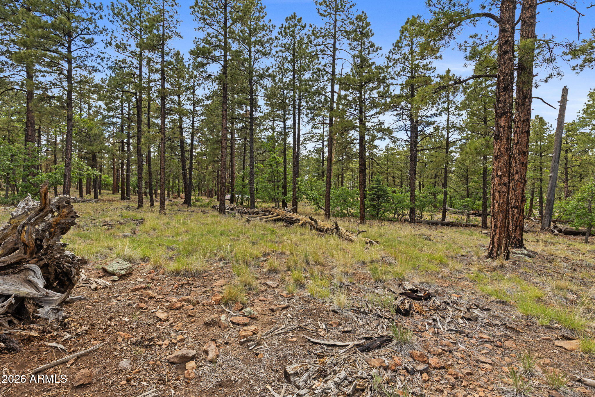 WILLIAMS PINE MEADOW ESTATES - Land