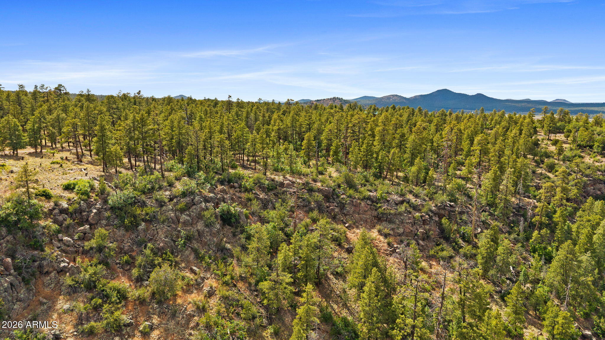 WILLIAMS PINE MEADOW ESTATES - Land