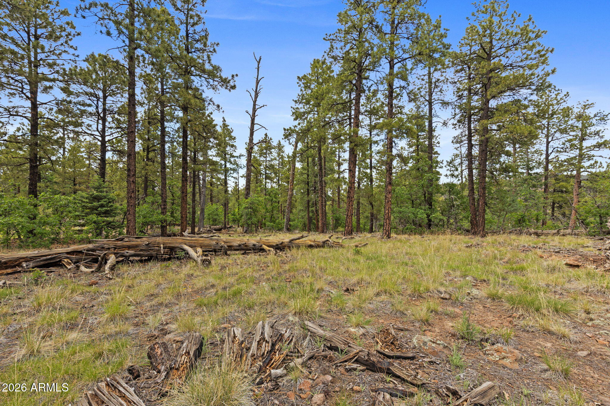 WILLIAMS PINE MEADOW ESTATES - Land