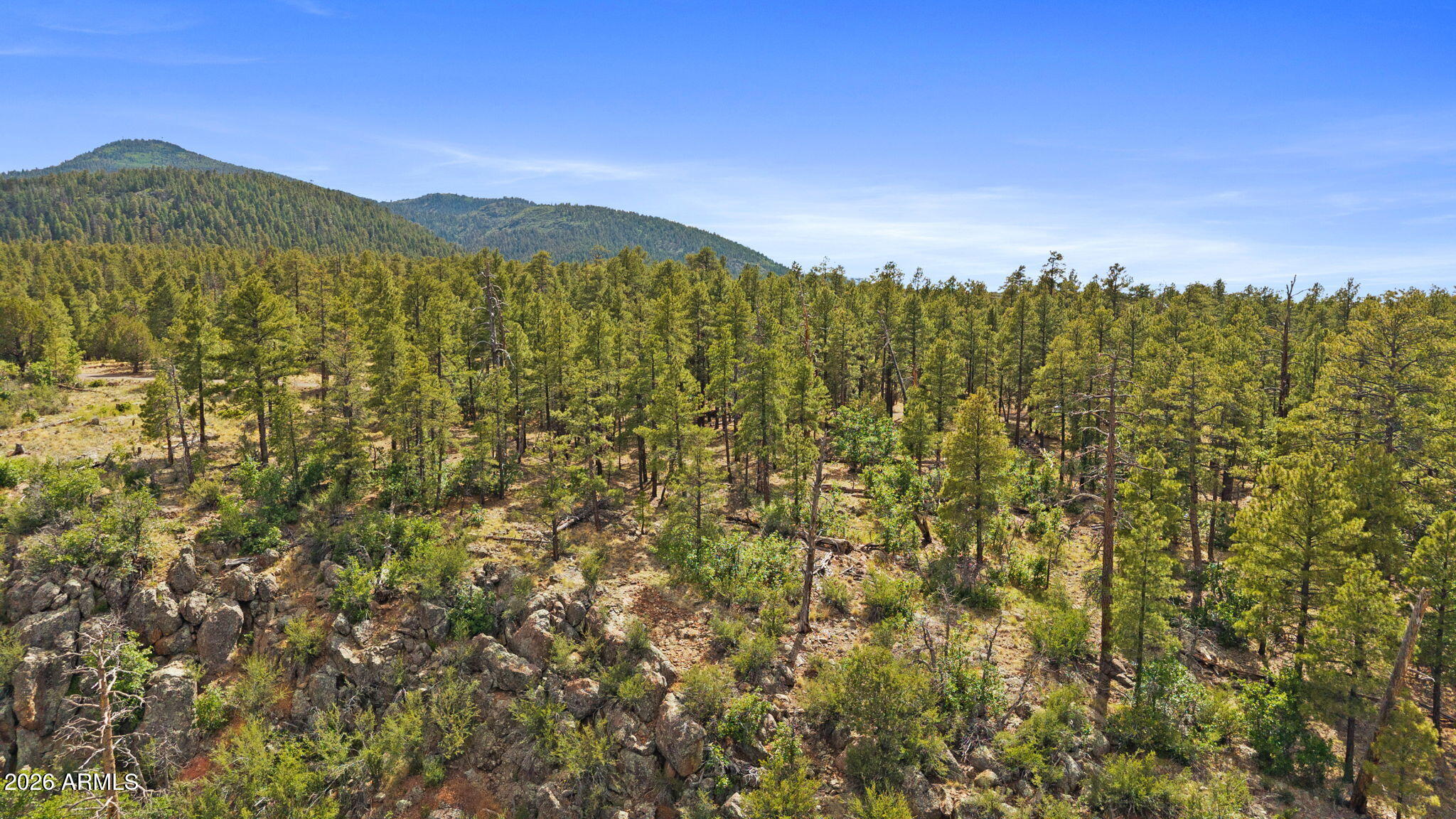 WILLIAMS PINE MEADOW ESTATES - Land