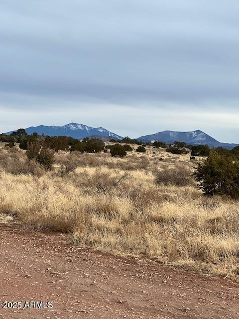 Affordable 2.53 acres of Arizona land for under $17K. Great opportunity to own a piece of off-grid property! Offering stunning natural surroundings and endless possibilities. Whether you're looking to build your dream home, invest in land, or create a weekend getaway, this property provides the ideal setting. Gateway to the Grand Canyon. Ample Space, plenty of room for a cabin, or recreational retreat.  Scenic Views. Enjoy panoramic vistas of Arizona's stunning high desert and star-filled night skies. Outdoor Adventure Nearby. Close to the Kaibab National Forest, hiking, hunting, and off-road trails. Conveniently located less than 2 miles from the nearest gas station and stores, making it easily accessible for daily needs. Great for the family getaway. Visit Bearizona, and many more sites