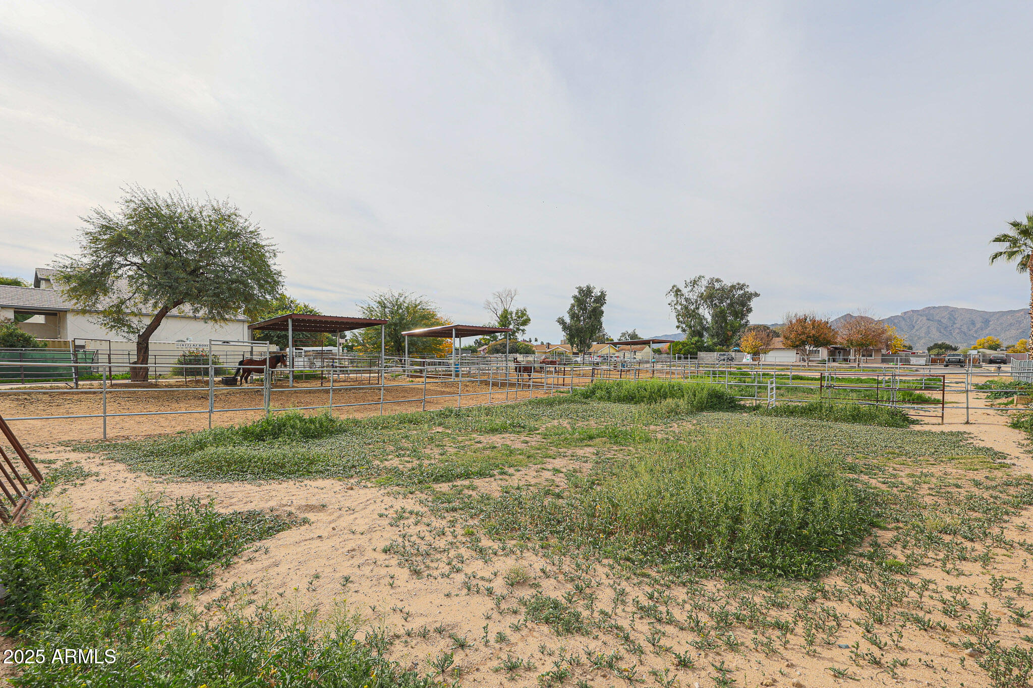 ROMOLA OF ARIZONA GRAPE FRUIT UNIT NO. 42 RESUBDIV - Residential