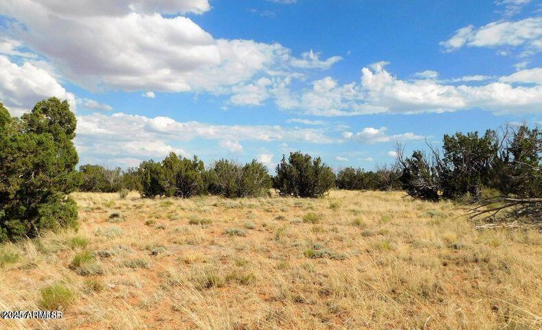 Chevelon Canyon Ranch - Land