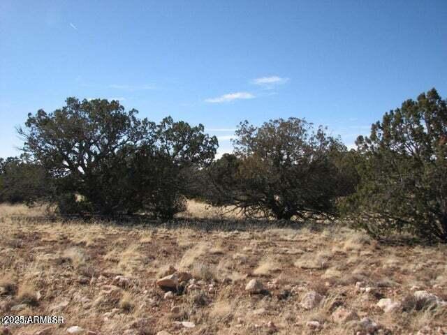 Very nice 37 acres with varied terrain & plenty of spots to place a Mfg. or build a site-built home.  HOA's cost of $348 per year covers road maintenance and street signs plus it provides water that you can haul from one of 2 wells, or you can drill your own well. There is also a Ramada that you can reserve for large gatherings. All kinds of wildlife in the area so if you want that garden you'll have to put a high fence around it. Come enjoy the clean fresh air and stay cooler in the summers. Directions continued:
Dry Pasture Run to property on R. Look for corner pins which will be on either side of road with round aluminum caps w/lot numbers on them.