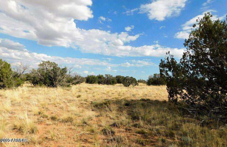 Chevelon Canyon Ranch - Land