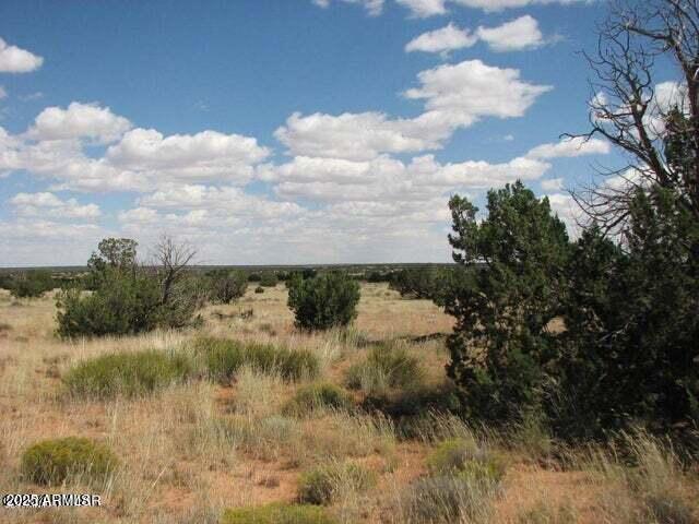 Chevelon Canyon Ranch - Land