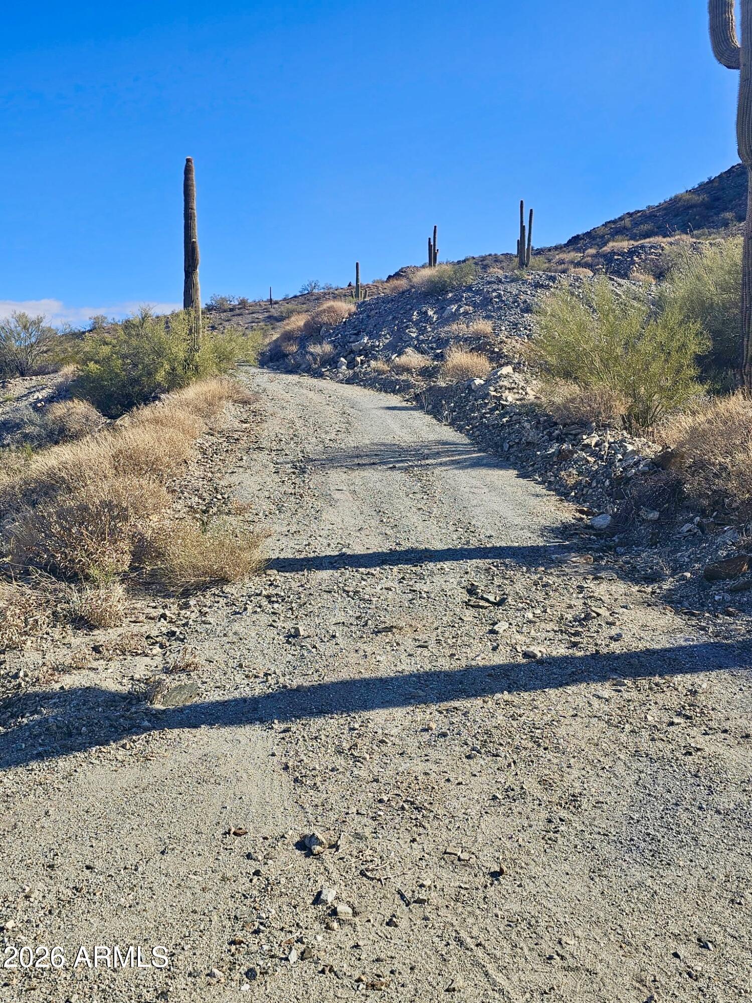 SAGUARO ACRES - Land