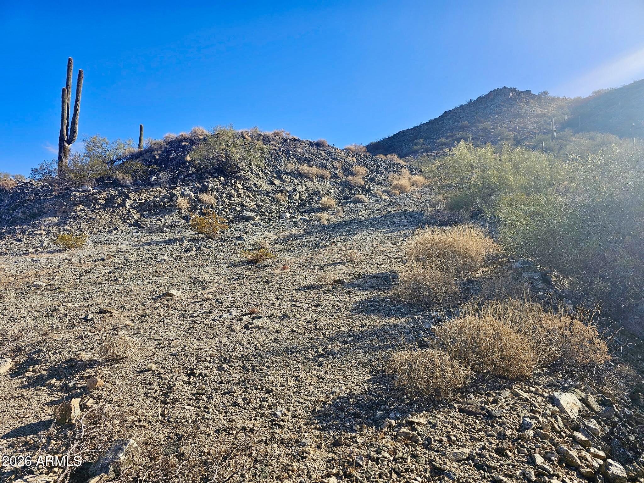 SAGUARO ACRES - Land