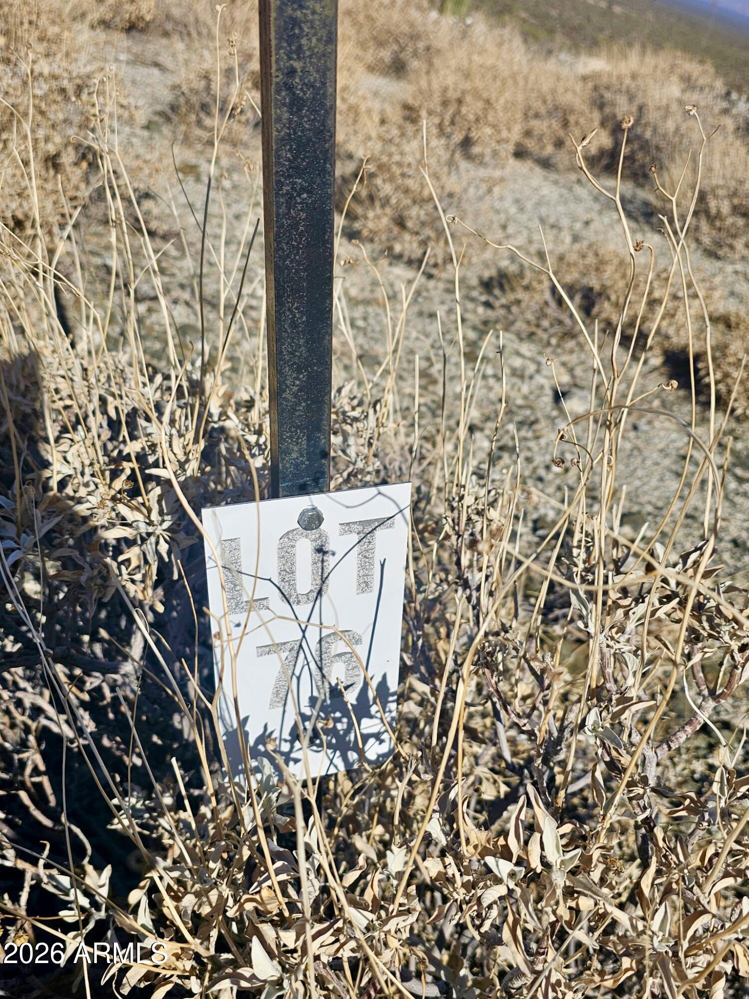 SAGUARO ACRES - Land