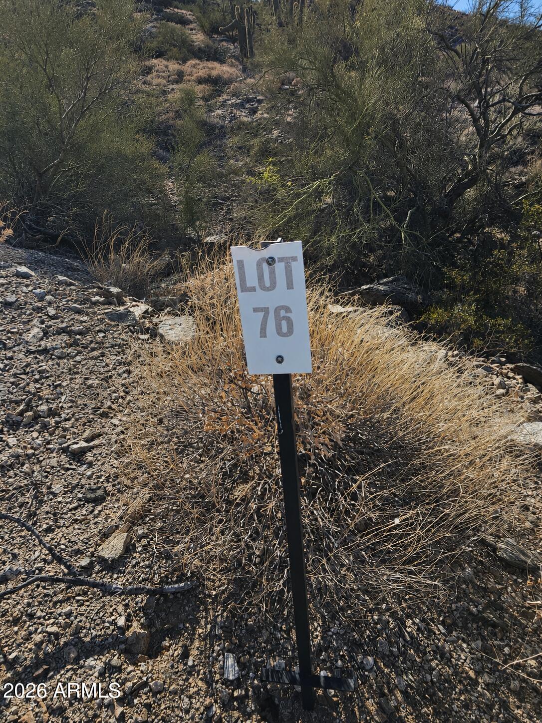 SAGUARO ACRES - Land