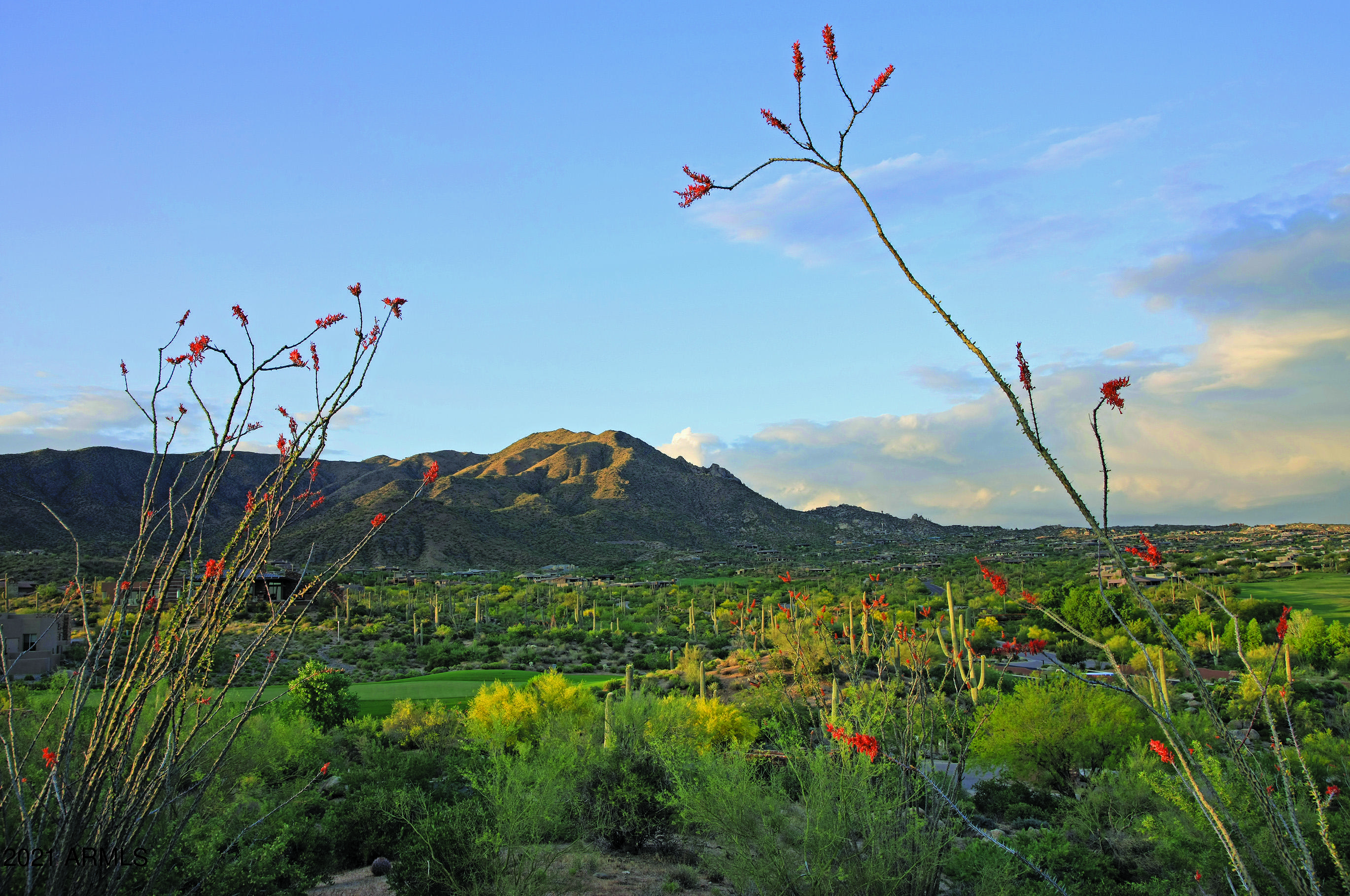 DESERT MOUNTAIN - Residential