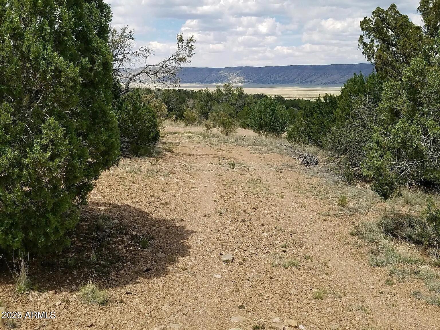 BRIDGE CANYON COUNTRY ESTATES UNIT 21 - Land