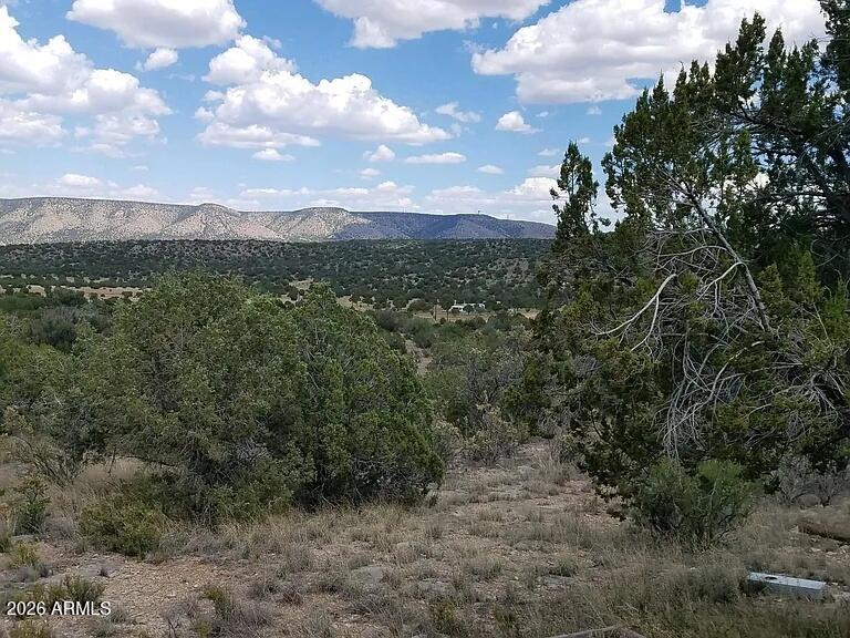 BRIDGE CANYON COUNTRY ESTATES UNIT 21 - Land