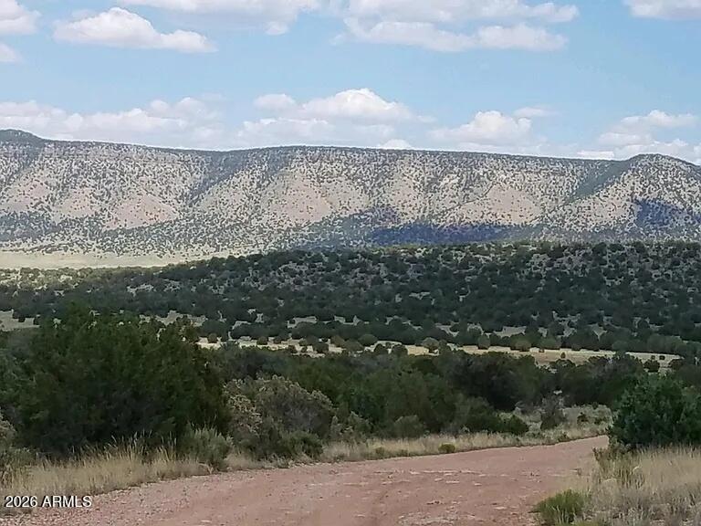 BRIDGE CANYON COUNTRY ESTATES UNIT 21 - Land
