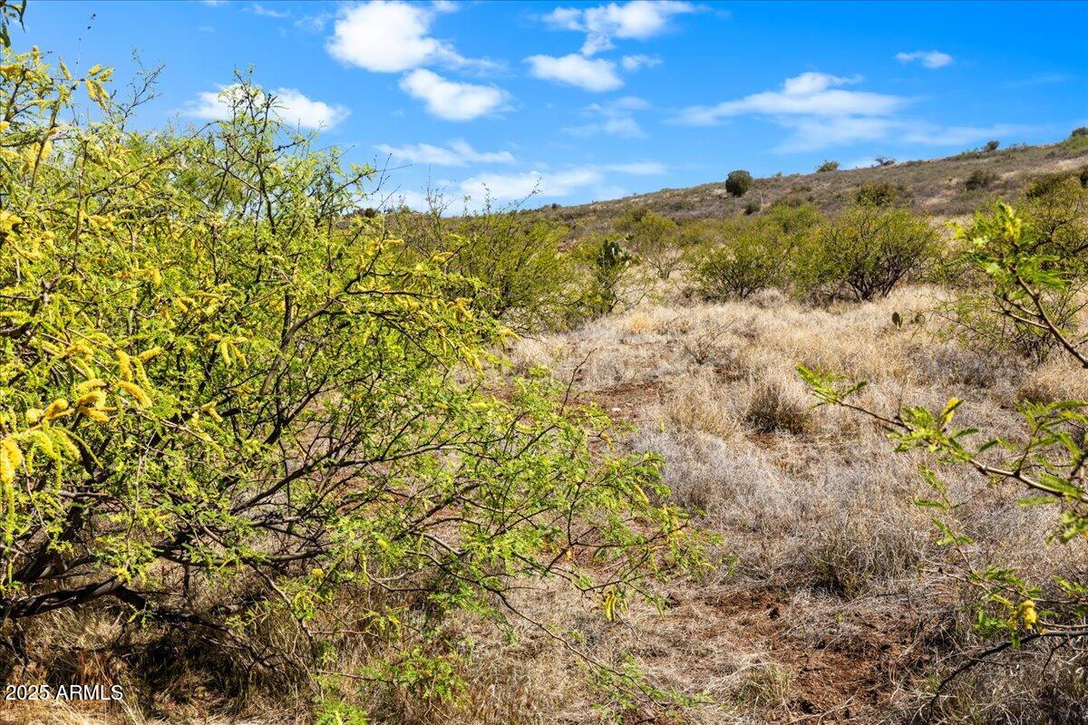 BENSCH RANCH UNIT 1 - Land