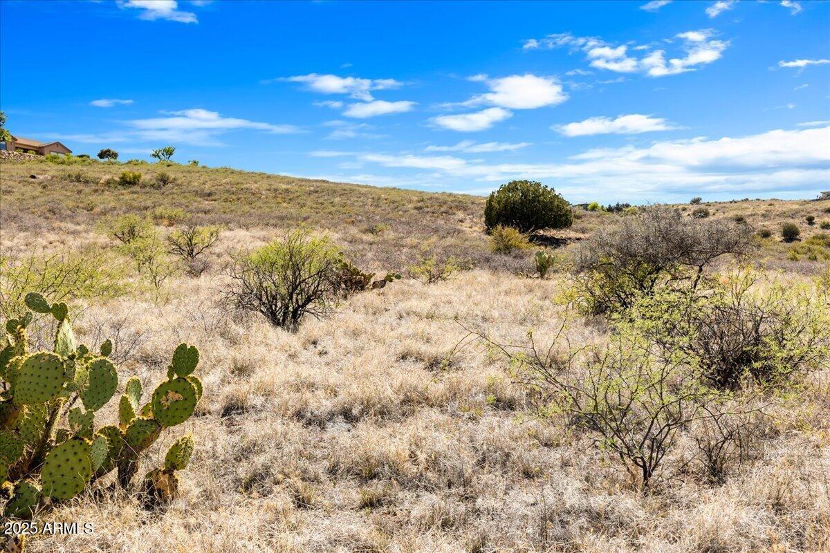 BENSCH RANCH UNIT 1 - Land