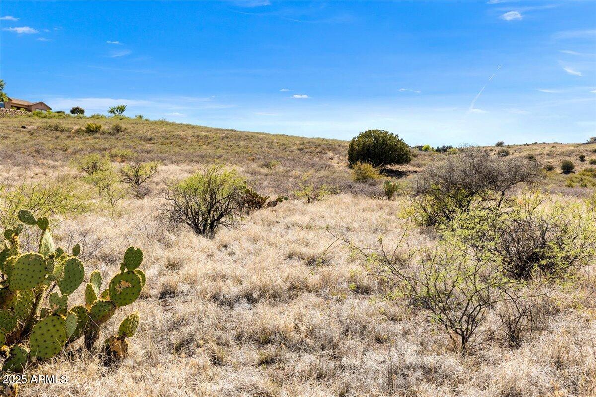 BENSCH RANCH UNIT 1 - Land