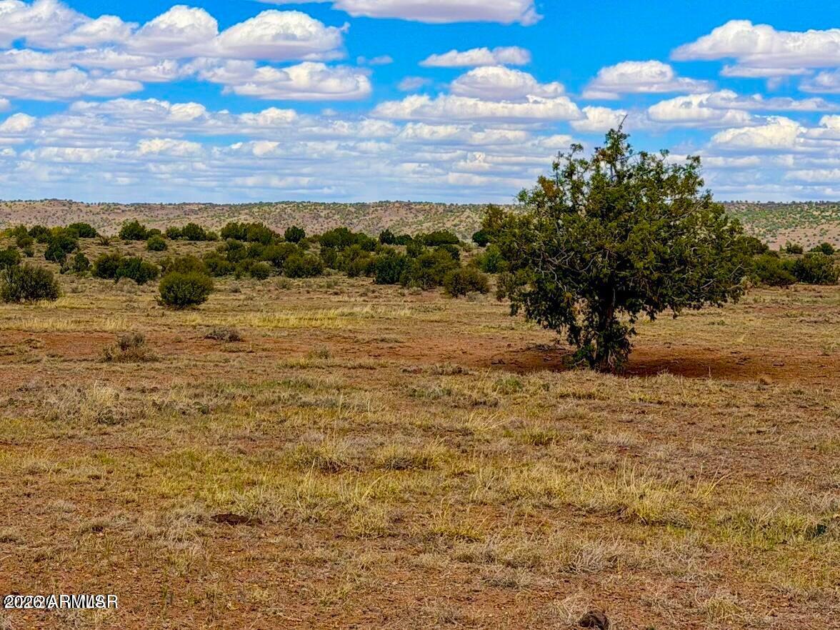 Pinon Valley Ranch - Land