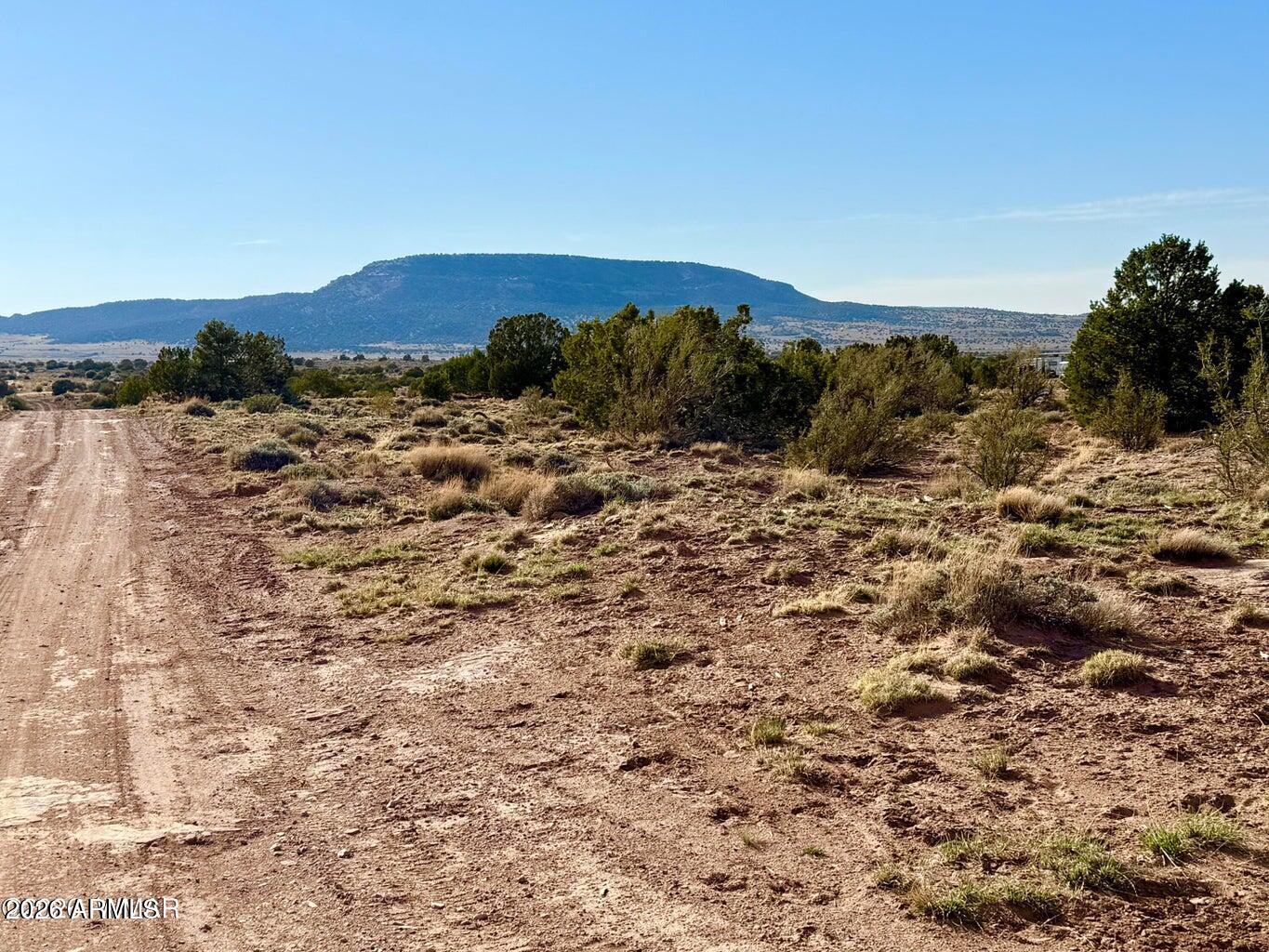Pinon Valley Ranch - Land