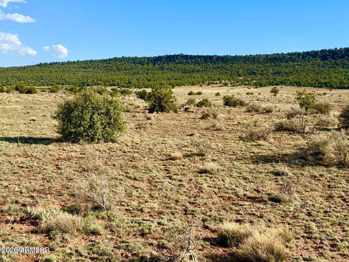 Pinon Valley Ranch - Land