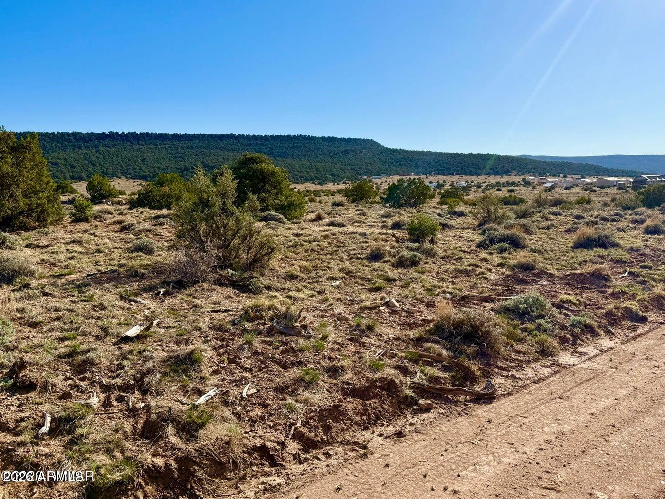Pinon Valley Ranch - Land