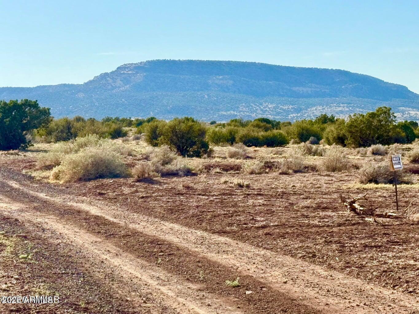 Pinon Valley Ranch - Land