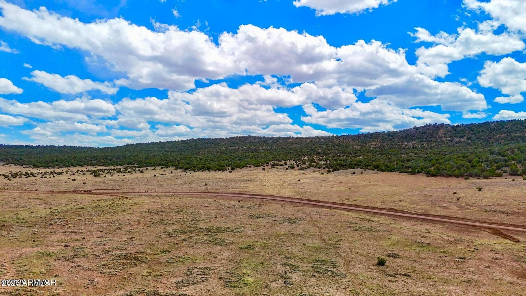 Pinon Valley Ranch - Land