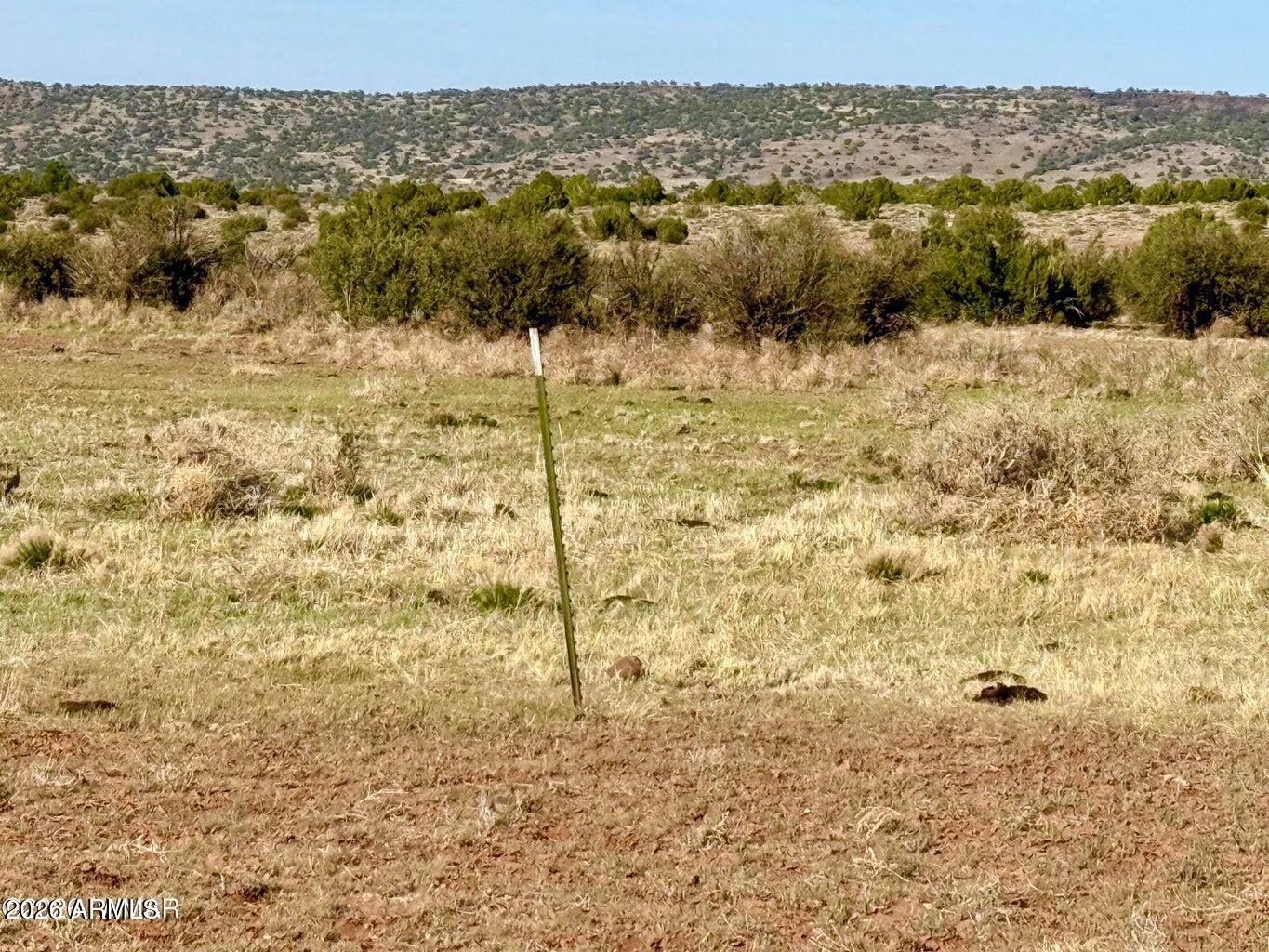 Pinon Valley Ranch - Land