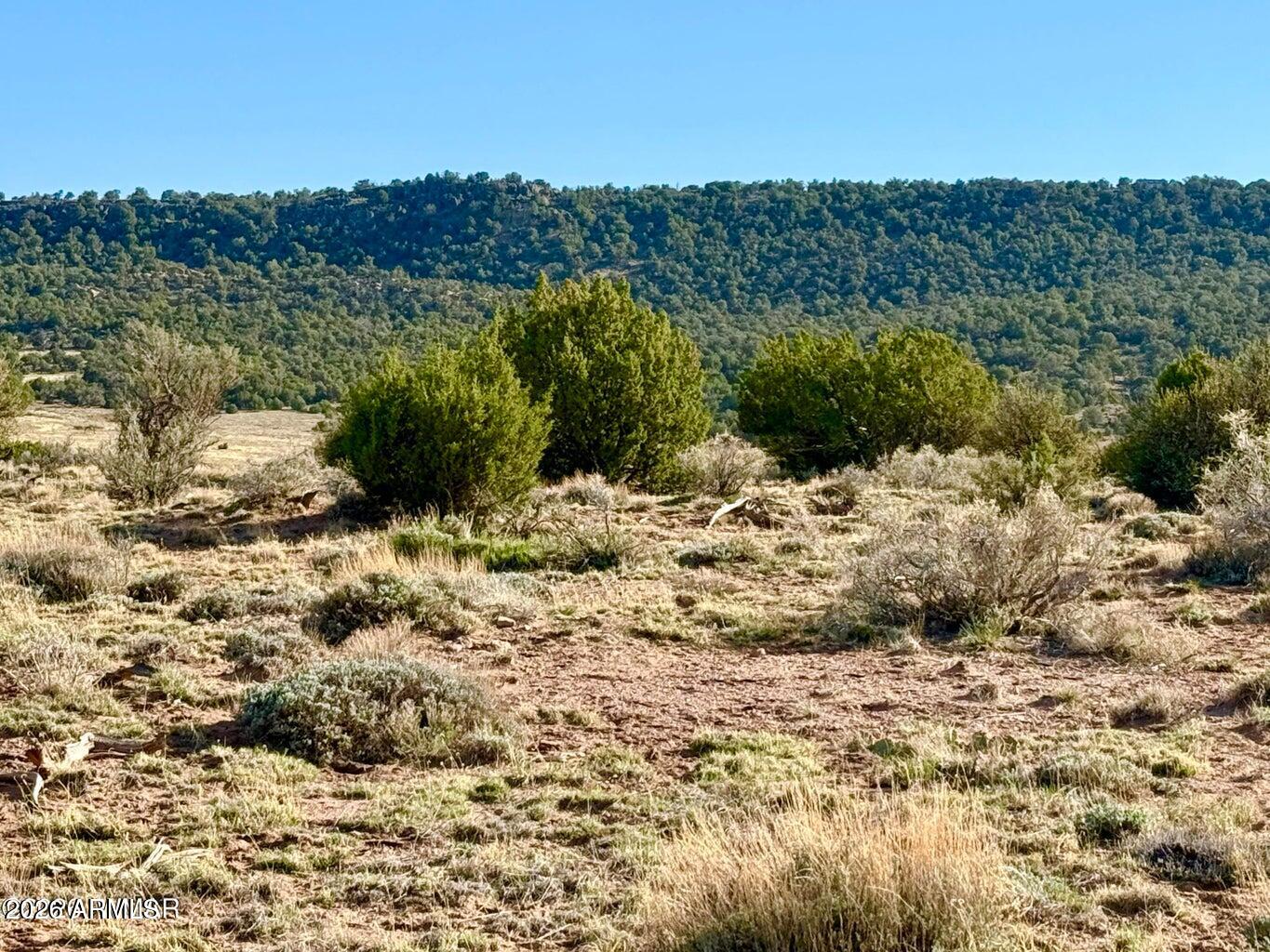 Amazing property on an excellent County maintained road that already has an installed septic system! Level for easy building, roads
on 3 sides and 360-degree mountain views. Easey access, immaculate neighbors yet with still a ton of privacy.... this property is the
best of all worlds!