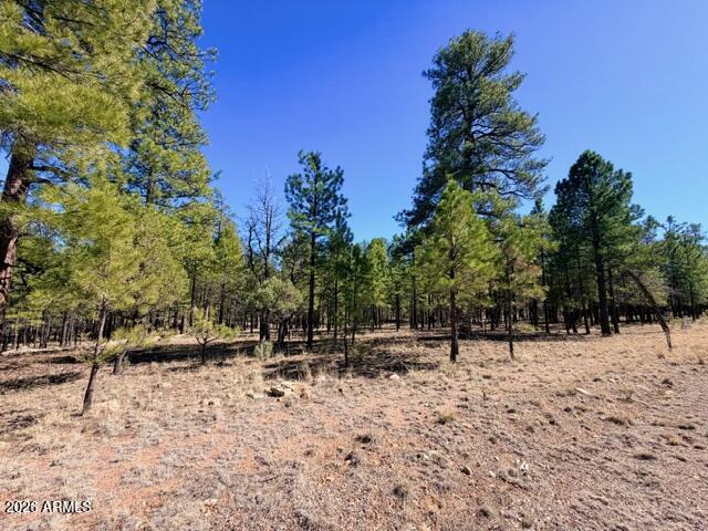 PINE CANYON 3 - Land
