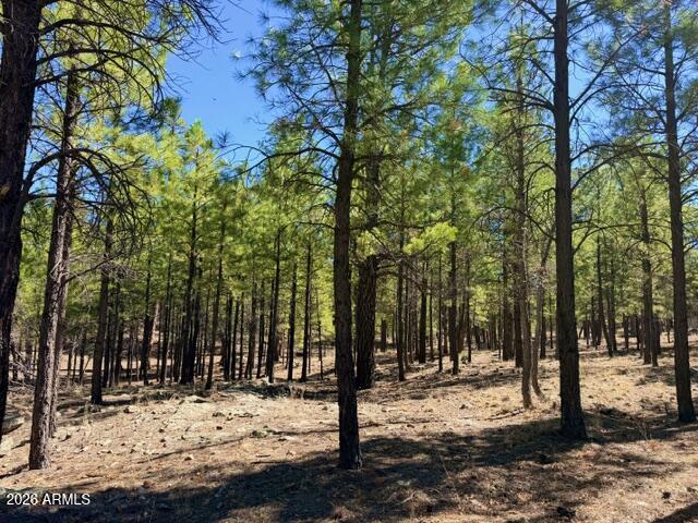 PINE CANYON 3 - Land