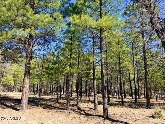 PINE CANYON 3 - Land