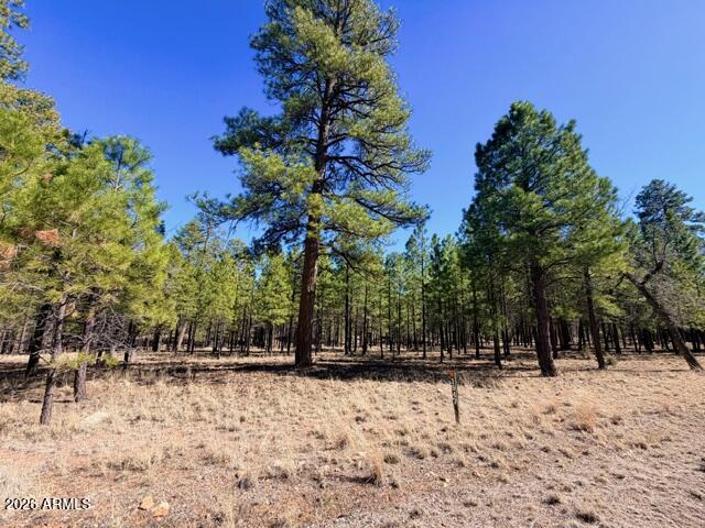 PINE CANYON 3 - Land