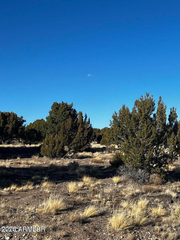 WINDSOR VALLEY RANCH PHASE 1 - Land