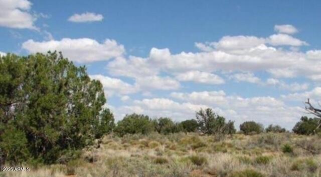 CHEVELON CANYON RANCH UNIT 3 - Land