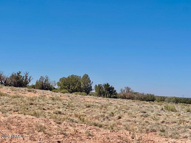 41 beautiful acres!! Are you looking to live off the grid?!?! Look no further! This is a great piece of land to farm, raise cattle, horses, chickens! Do you want to camp first then build??  Here is your chance to own a piece of paradise! Bring your quads, side by sides, so much room for toys. Community well and maintained roads!