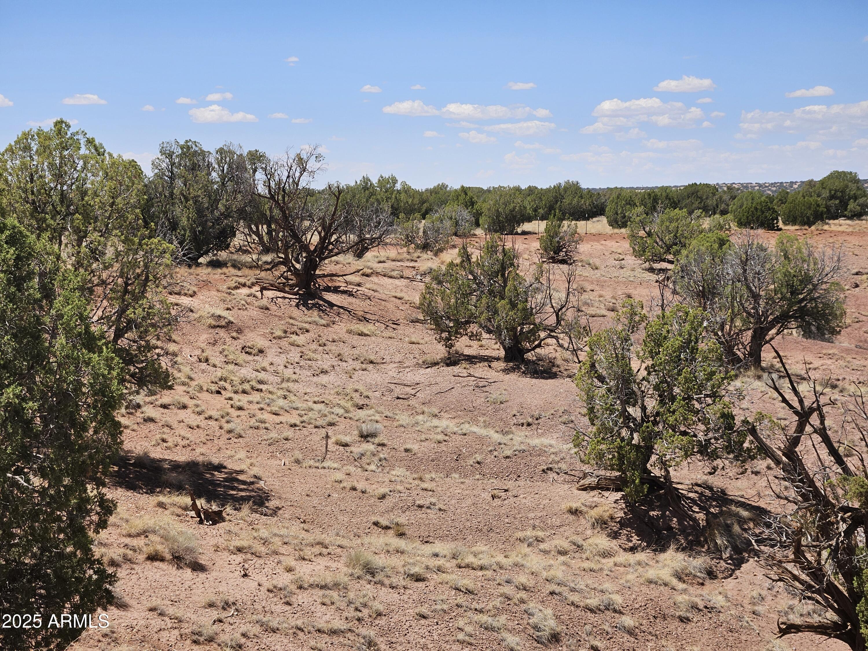 RANCH OF THE WHITE MOUNTAINS UNIT A1 - Land