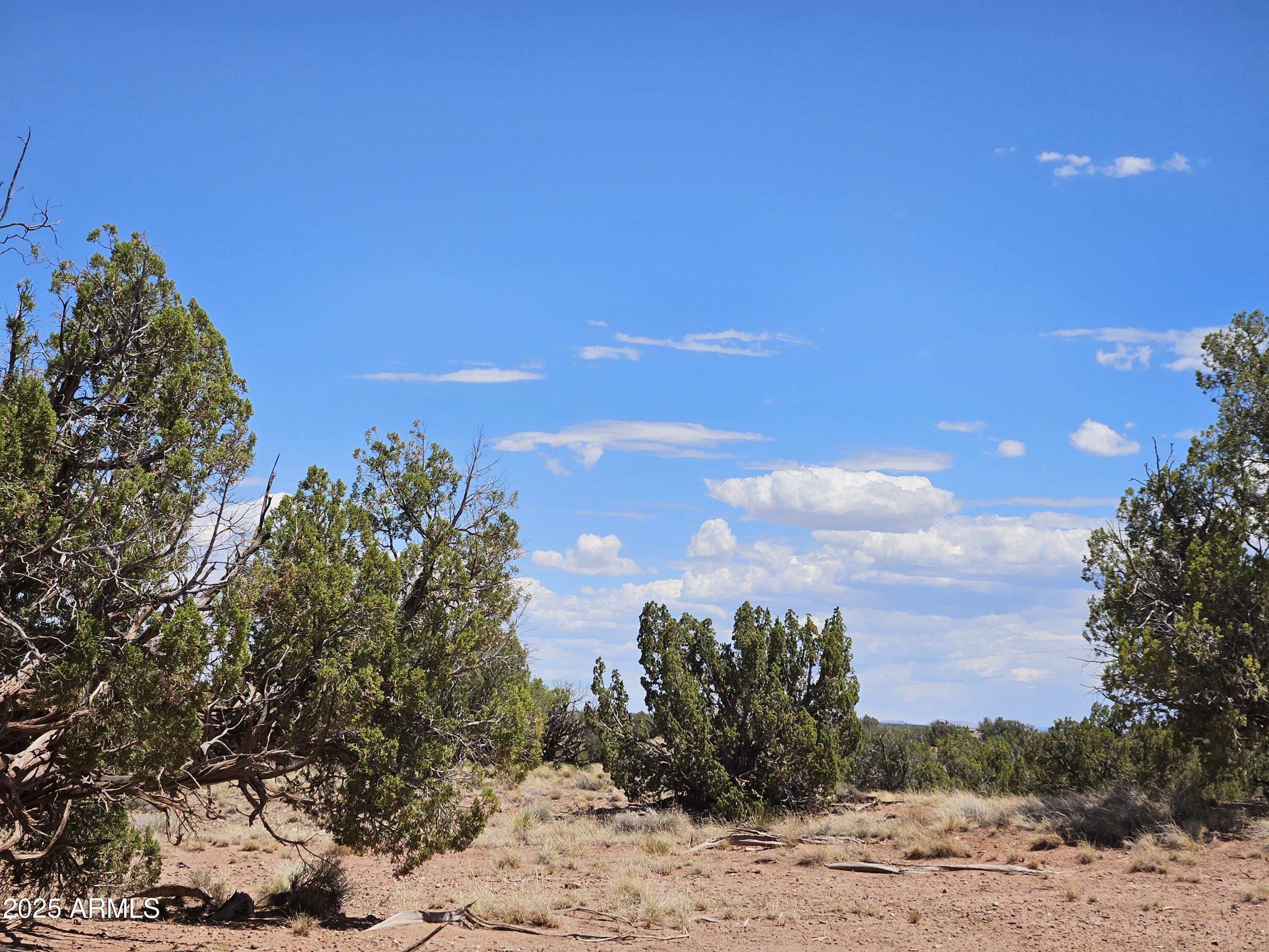 RANCH OF THE WHITE MOUNTAINS UNIT A1 - Land