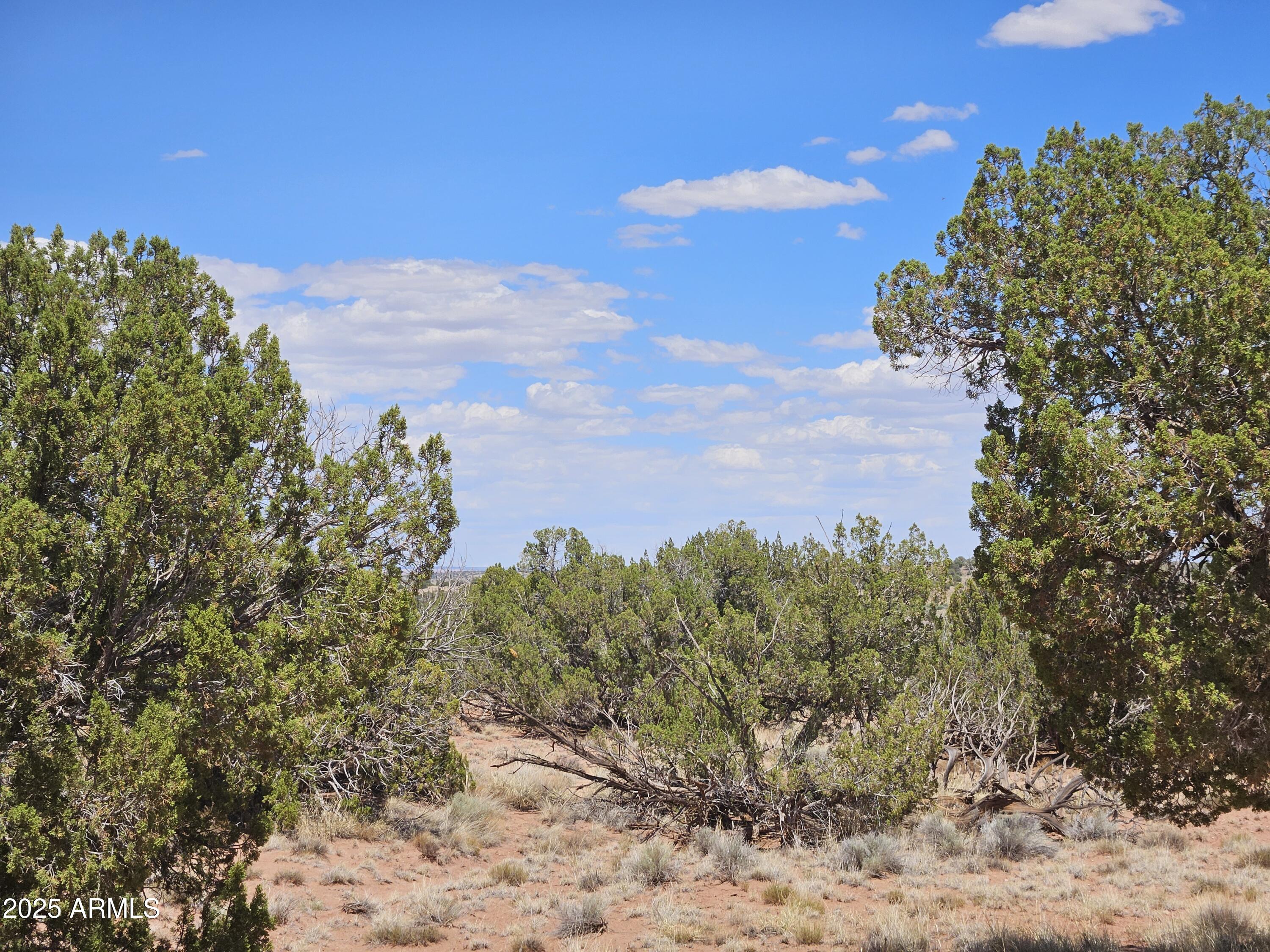 Gorgeous acreage with views, flat and hilly for building and four wheeling.  Views in every direction.  Star studded nights and peaceful days are in your future.  Come see.