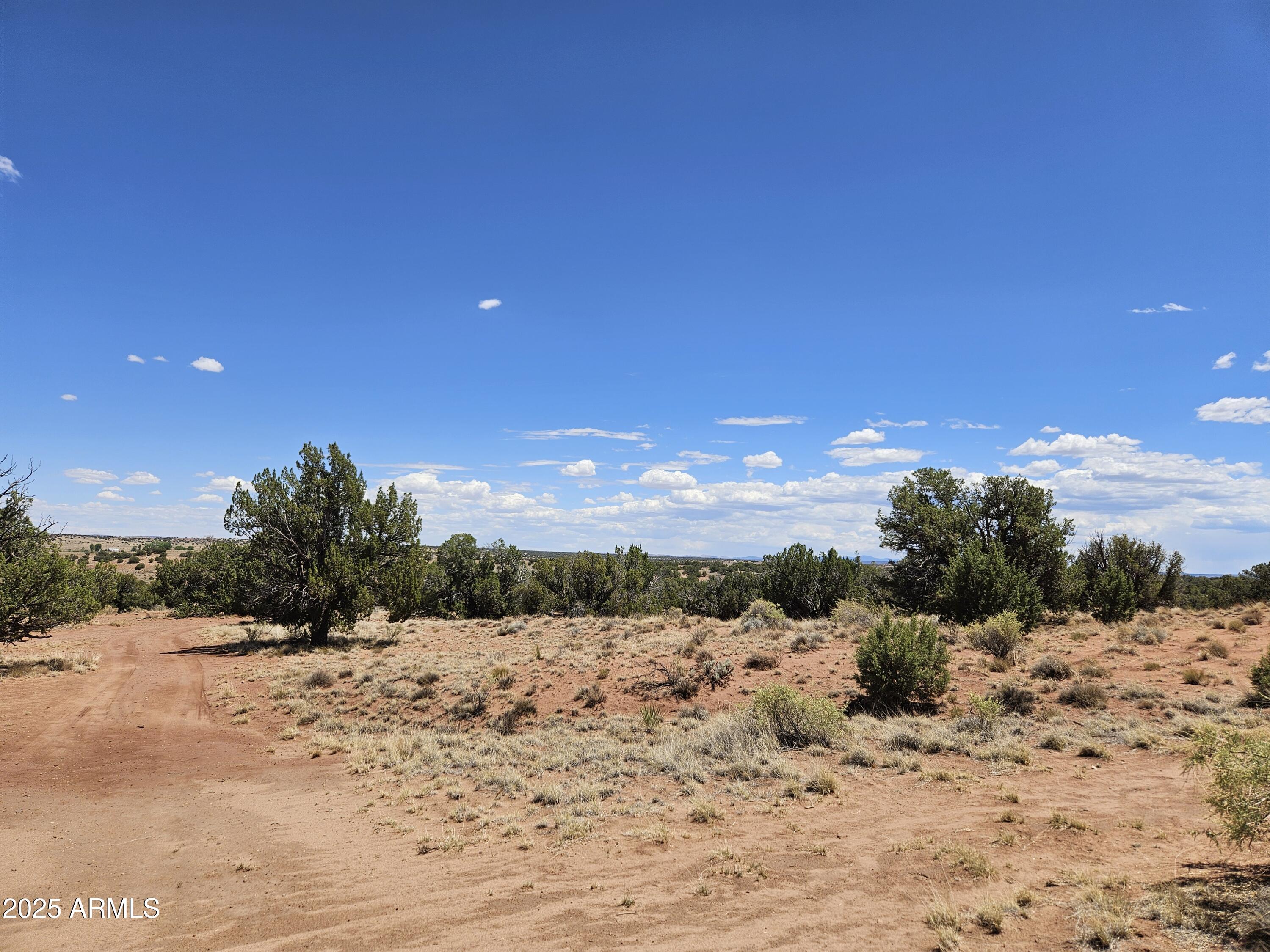 RANCH OF THE WHITE MOUNTAINS UNIT A1 - Land