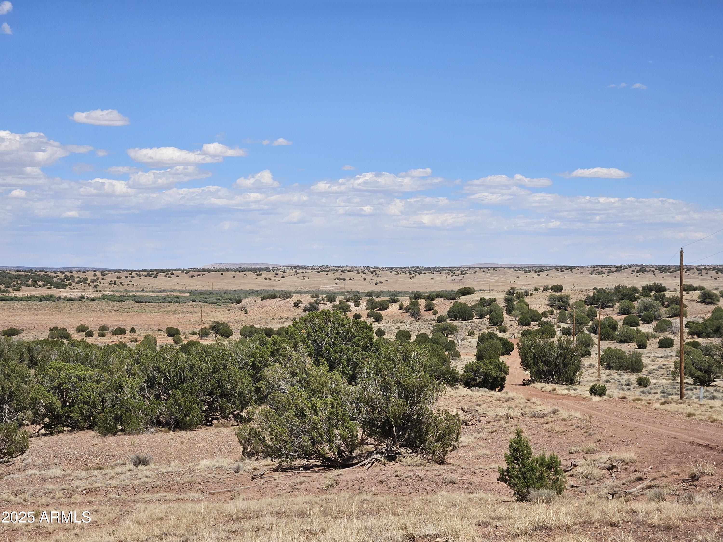 RANCH OF THE WHITE MOUNTAINS UNIT A1 - Land