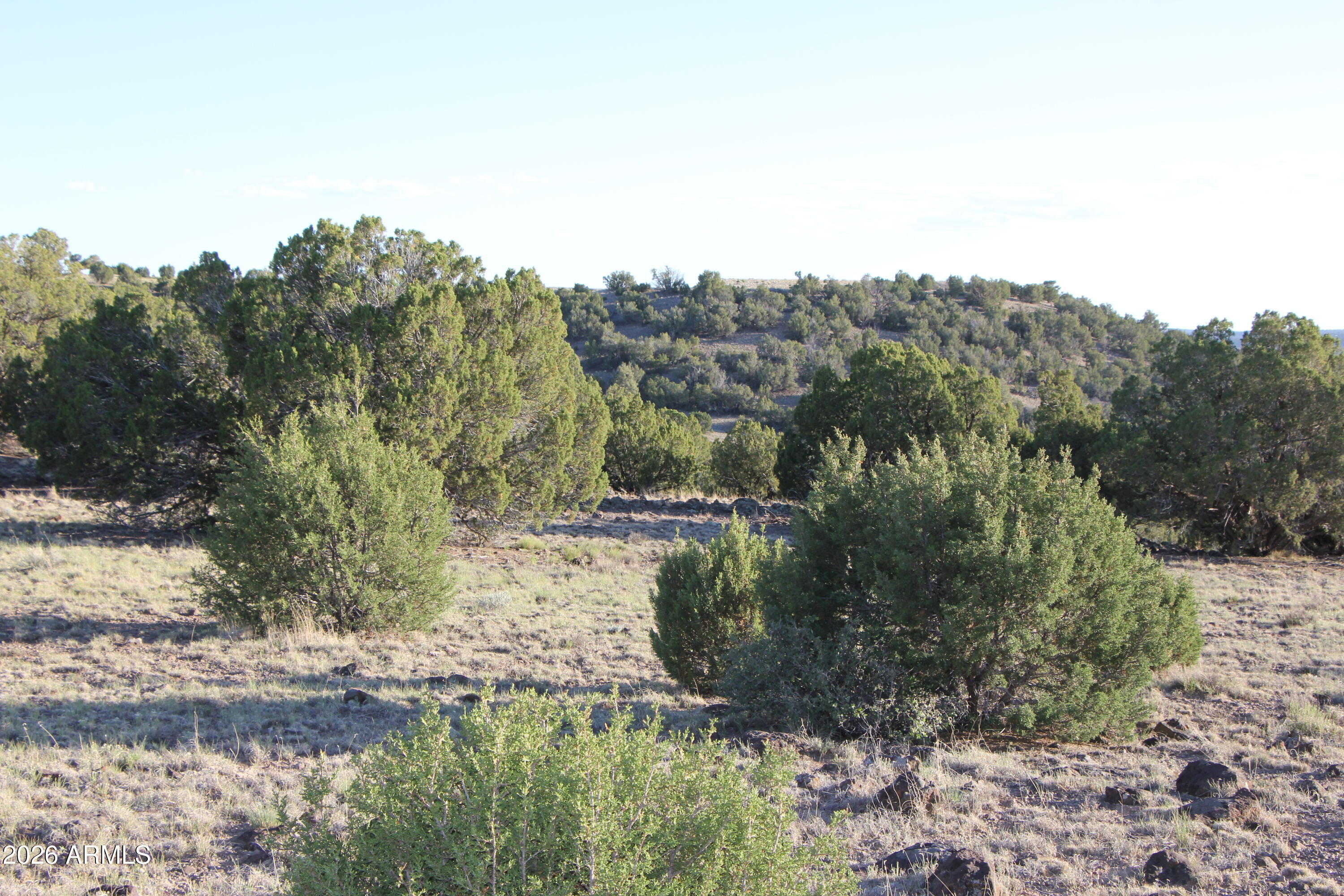 WINDSOR VALLEY RANCH PHASE 1 - Land