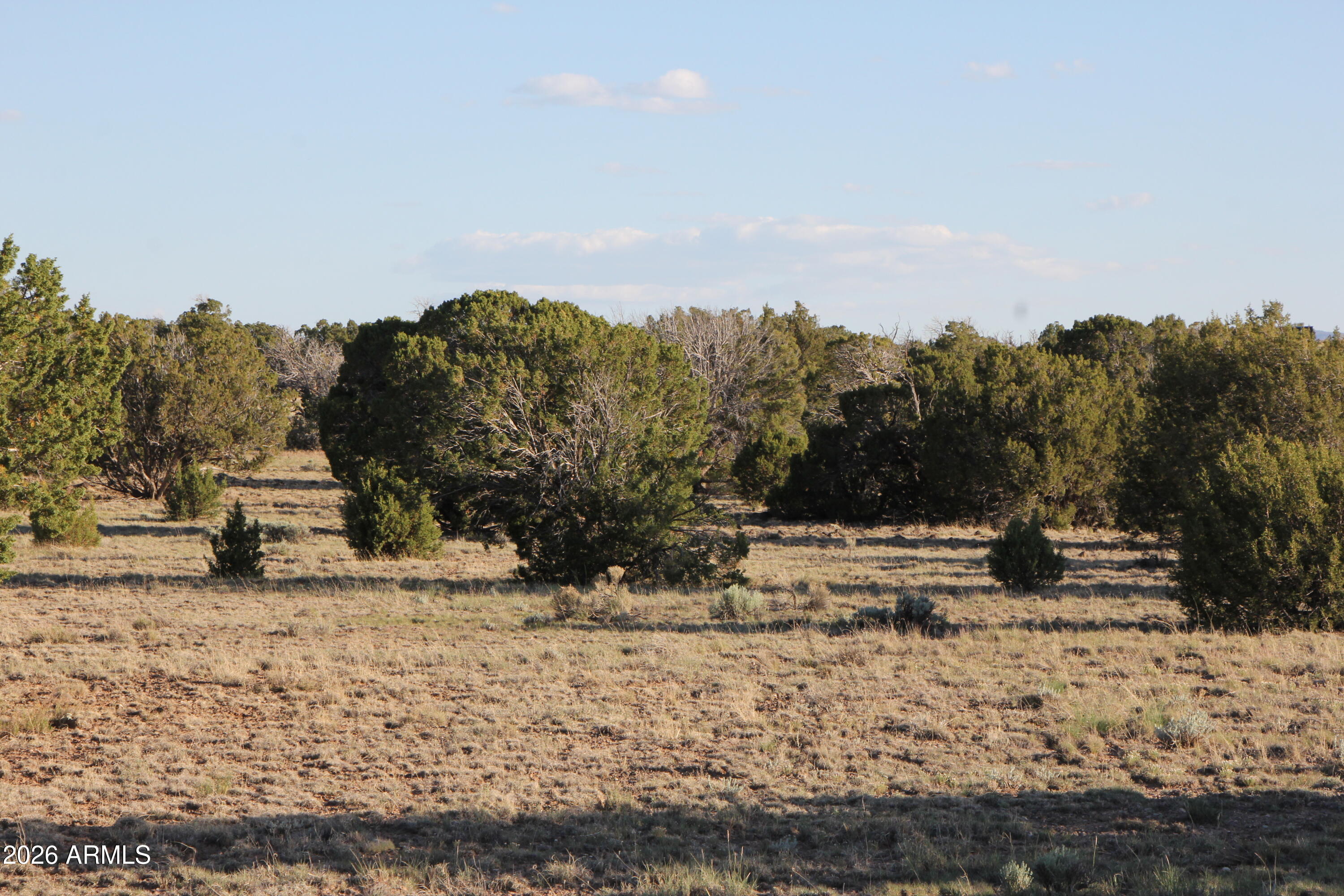 WINDSOR VALLEY RANCH PHASE 1 - Land