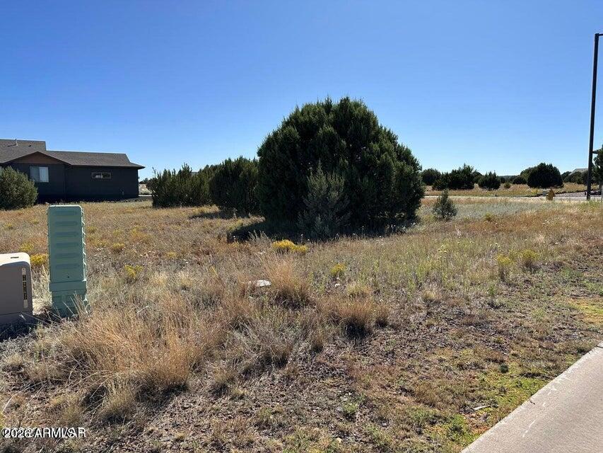 SHOW LOW BLUFF PHASE 1B - Land